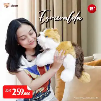 ISTANA BONEKA Kucing Esmeralda Belang Telon